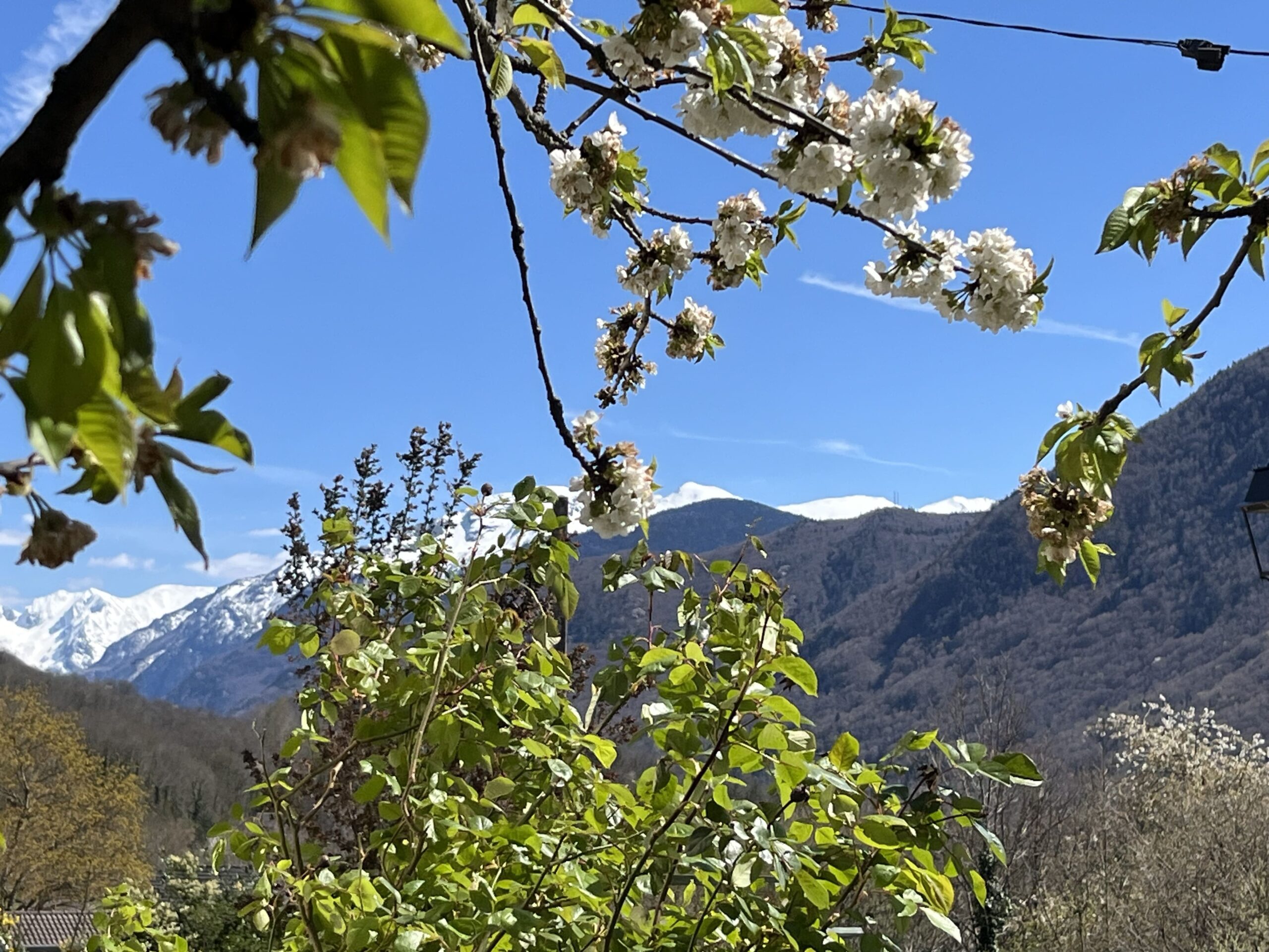 Exterieur vue montagne 2